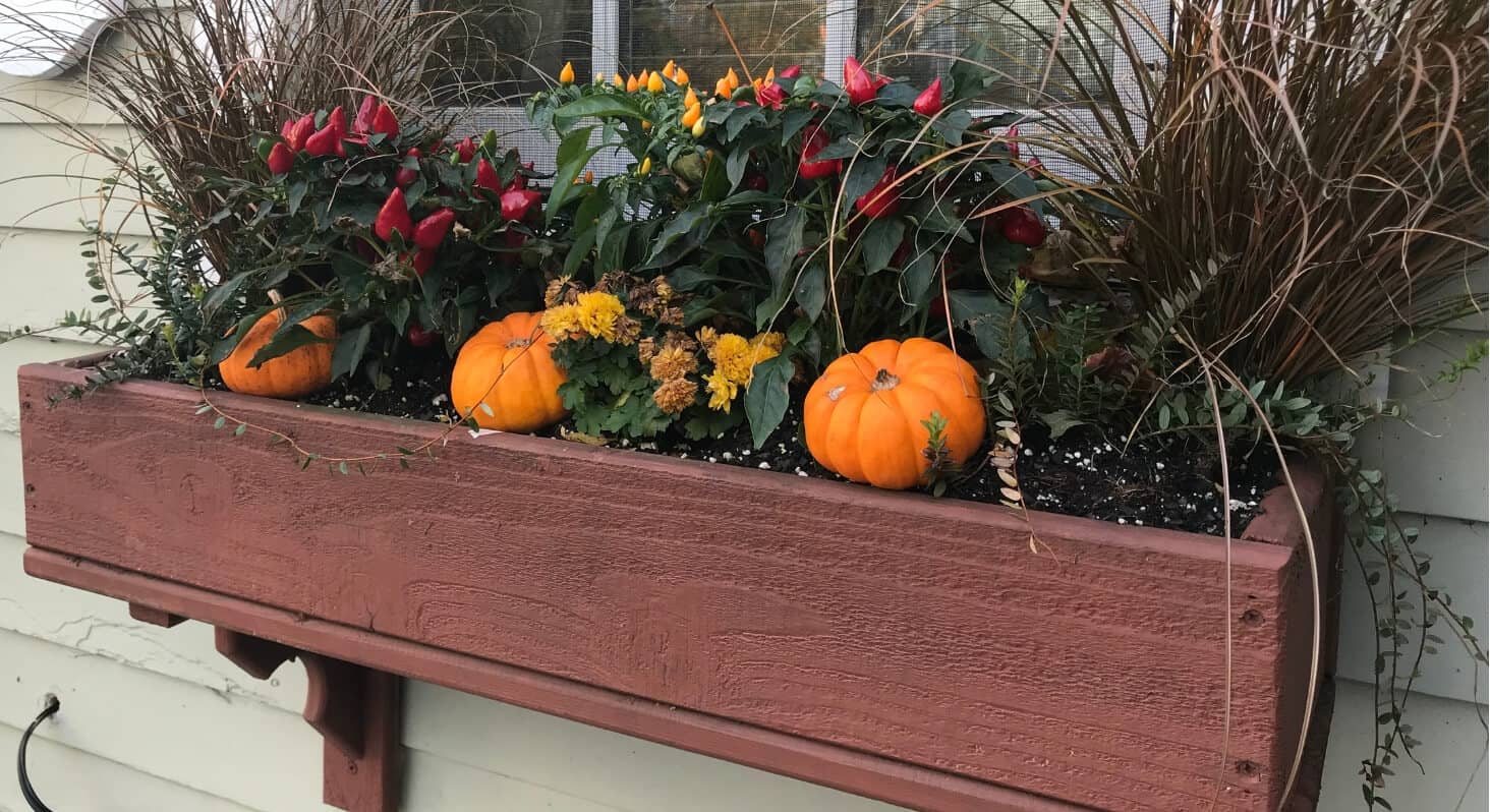fall provincetown