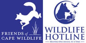 Hotline for Wildlife Logos