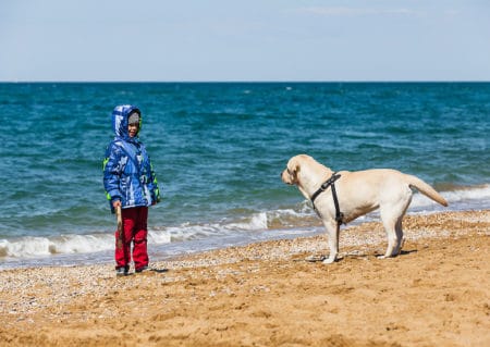 A child in a winter jacket playing on the beach with a dog