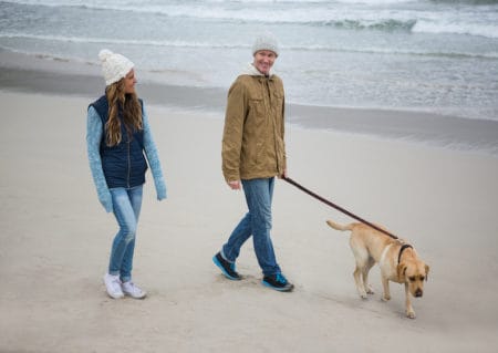 Couple walking on the beach with their dog