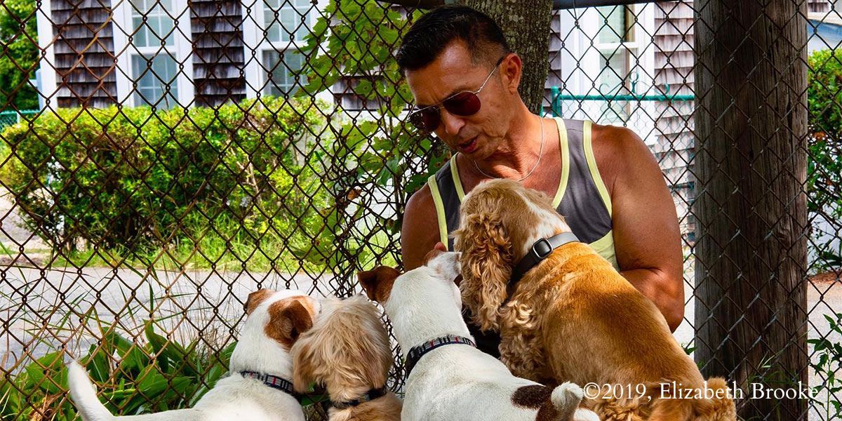Pet-friendly Provincetown: A man petting his 4 dogs
