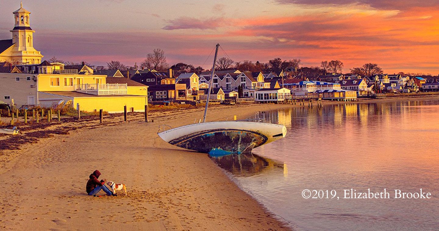 Pet-friendly Provincetown: A person by the beach with their dog