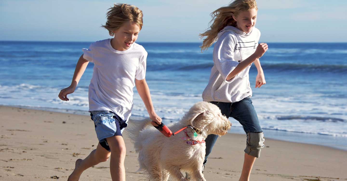 Pet Friendly Provincetown, dog with two kids running on the beach.