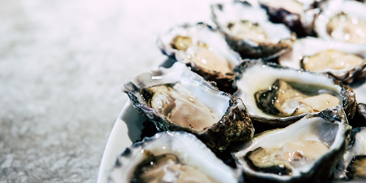 Enjoy fresh oysters at Mac's Fish House Provincetown during their daily happy hour