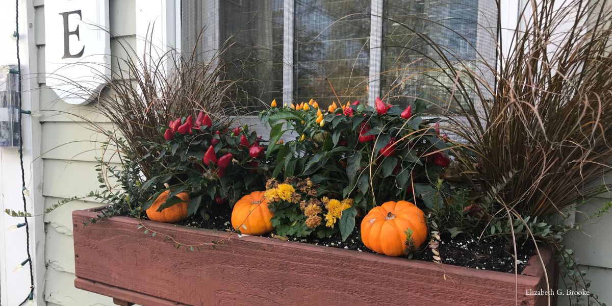 Pumpkin decorations on a plant box 