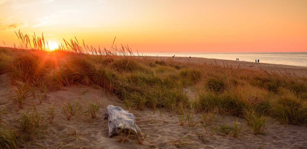 Majestic sunset over grassy sand dunes in autumn in Cape Cod