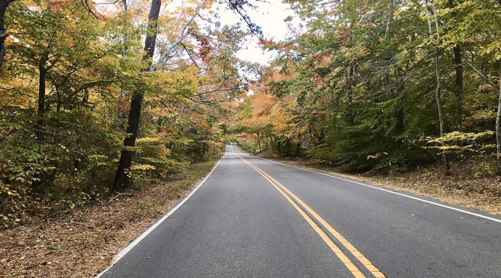 Fall in Massachusetts - Your Guide to Cape Cod’s Autumn Colors