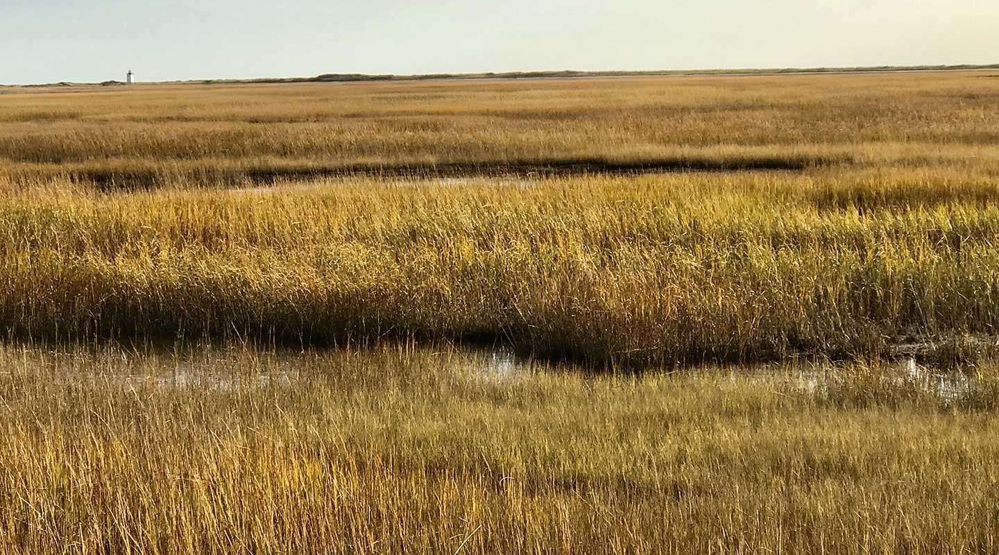 Fall in Massachusetts the marshes near Provincetown