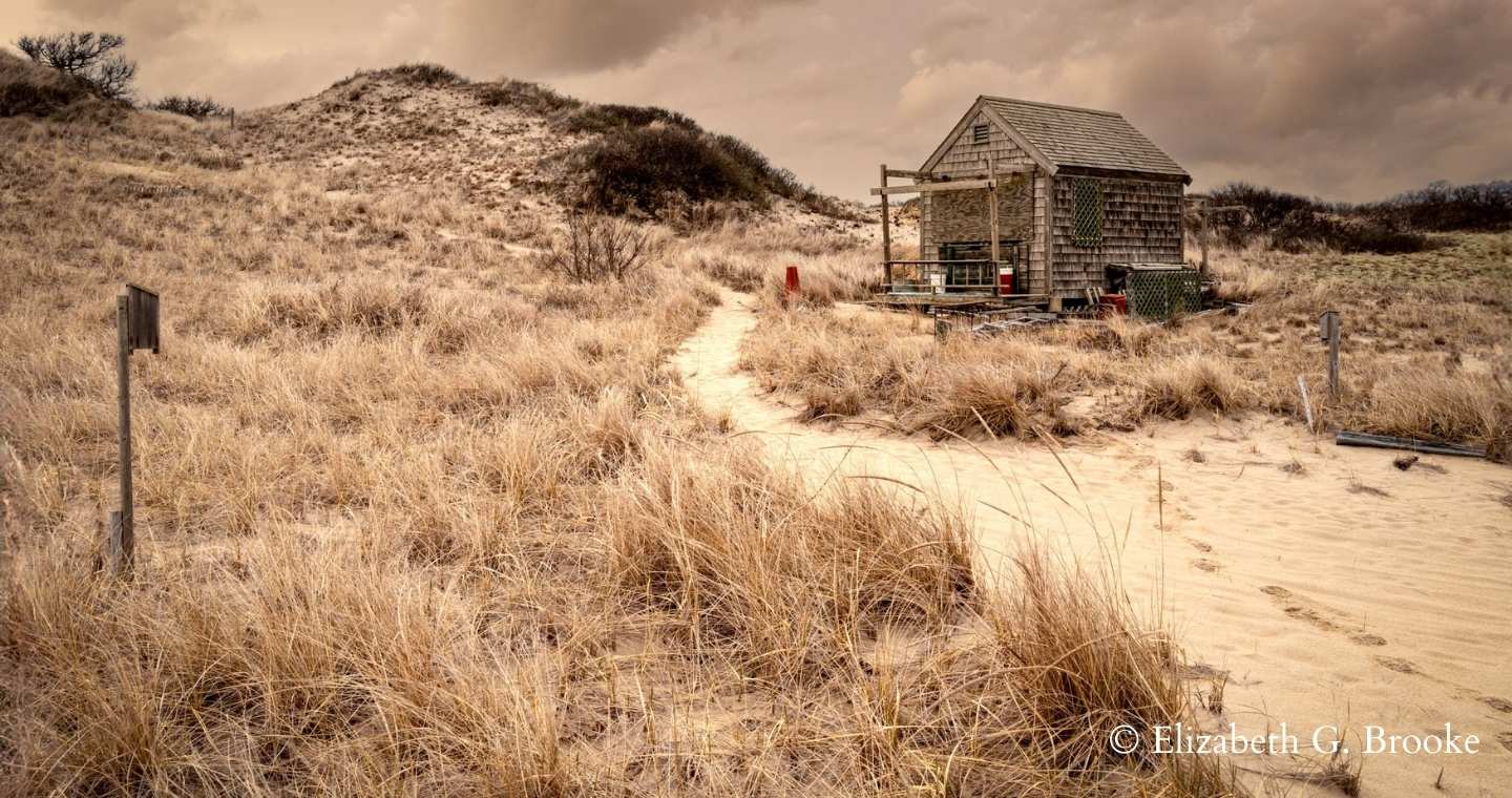 Dune shack on Provincetown beach