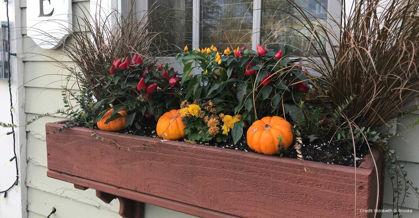 Halloween decorations Gabriel's Provincetown Hotel window
