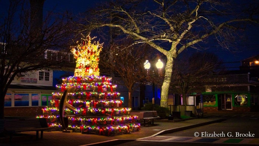 The Provincetoown Lobster Pot Tree