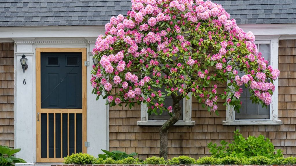 Provincetown Travel Blog :: Things to do in Cape Cod :: Insider Tips