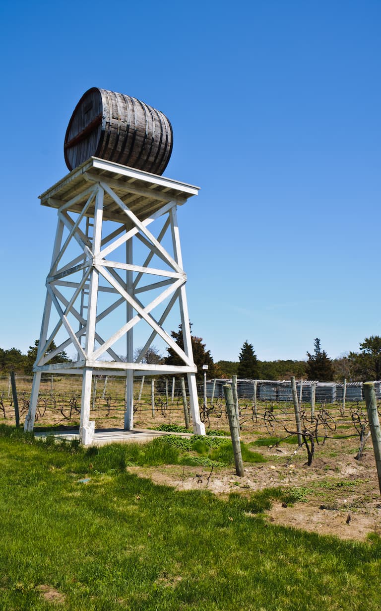 Truro Vineyards, a Cape Cod Winery