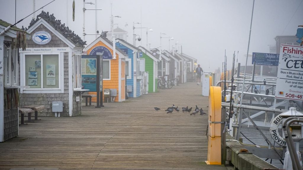 MacMillan Pier in Provincetown
